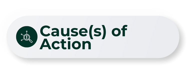 Causes of Action